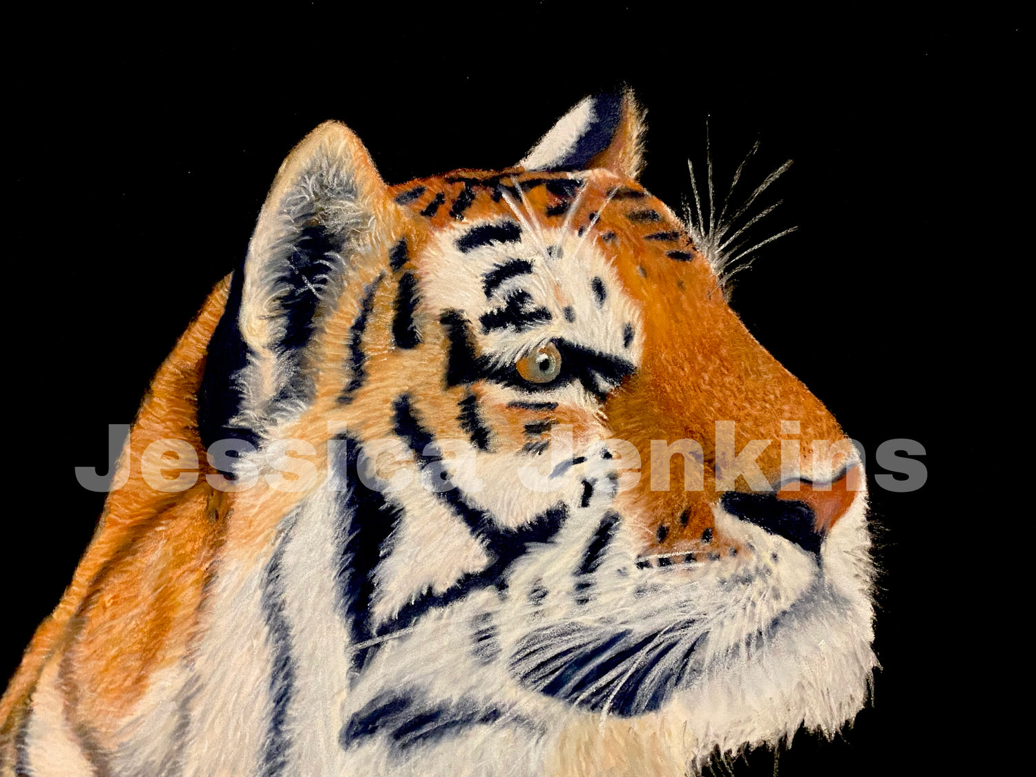 Art Prints
