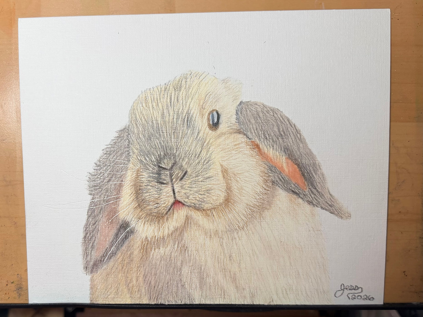 Custom Colored Pencil Drawing