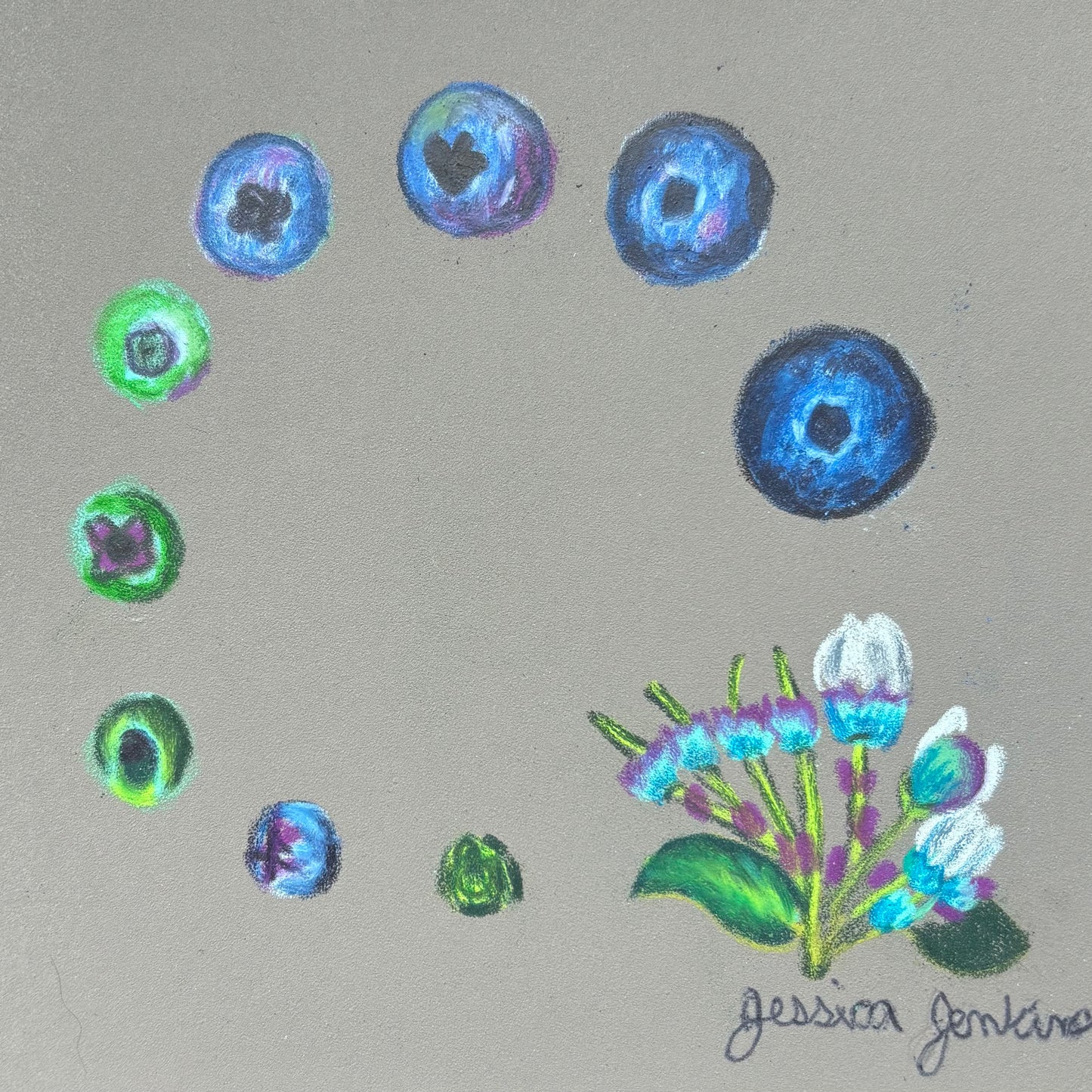 Blueberry Life Cycle | Limited Edition Prints