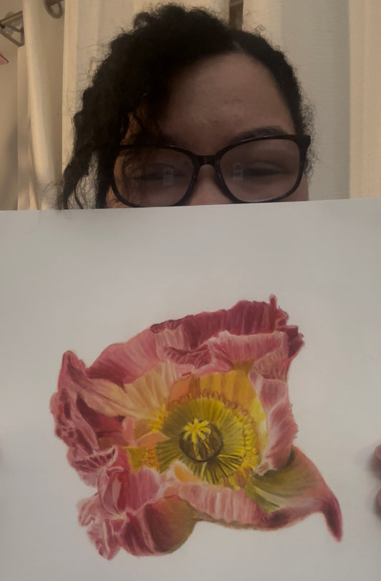 Poppy | Original Colored Pencil Drawing