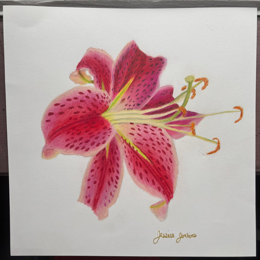 Stargazer Lily | Original Colored Pencil Drawing