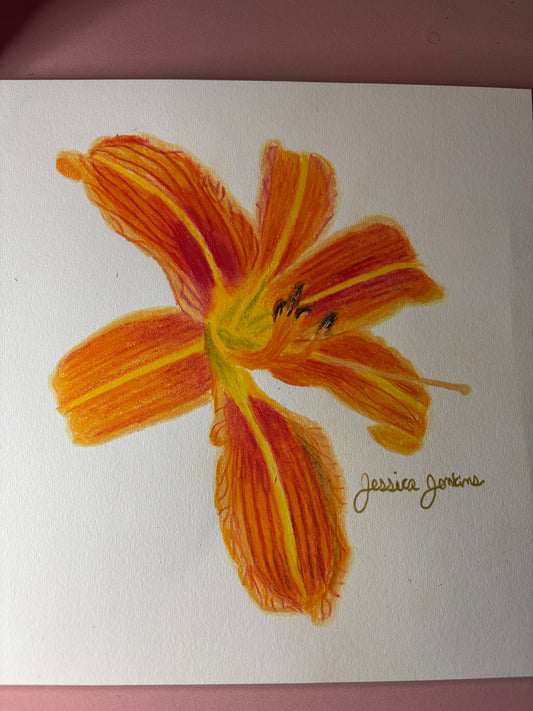 Orange Day Lily | Original Colored Pencil Drawing