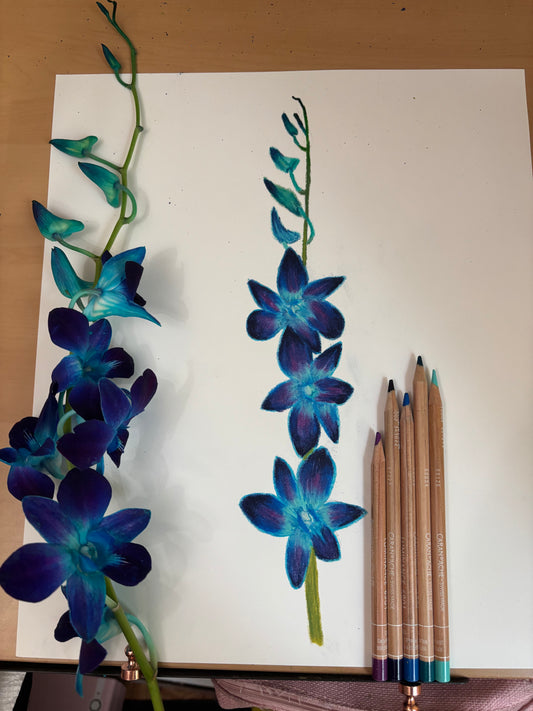Blue Dendrobium Orchid | Original Colored Pencil Drawing