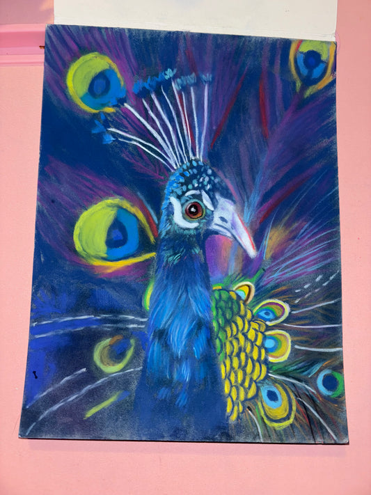 Peacock | Original Pastel Drawing