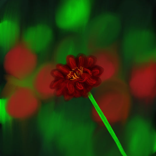 Zinnia | Limited Edition Prints