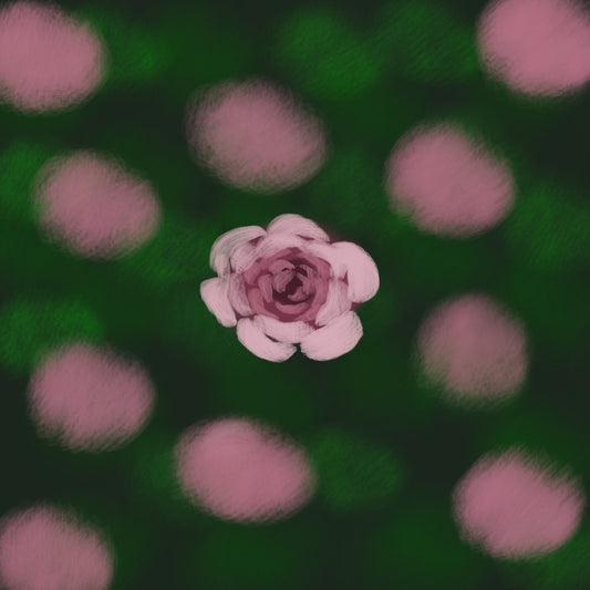 Rose Bush | Limited Edition Prints