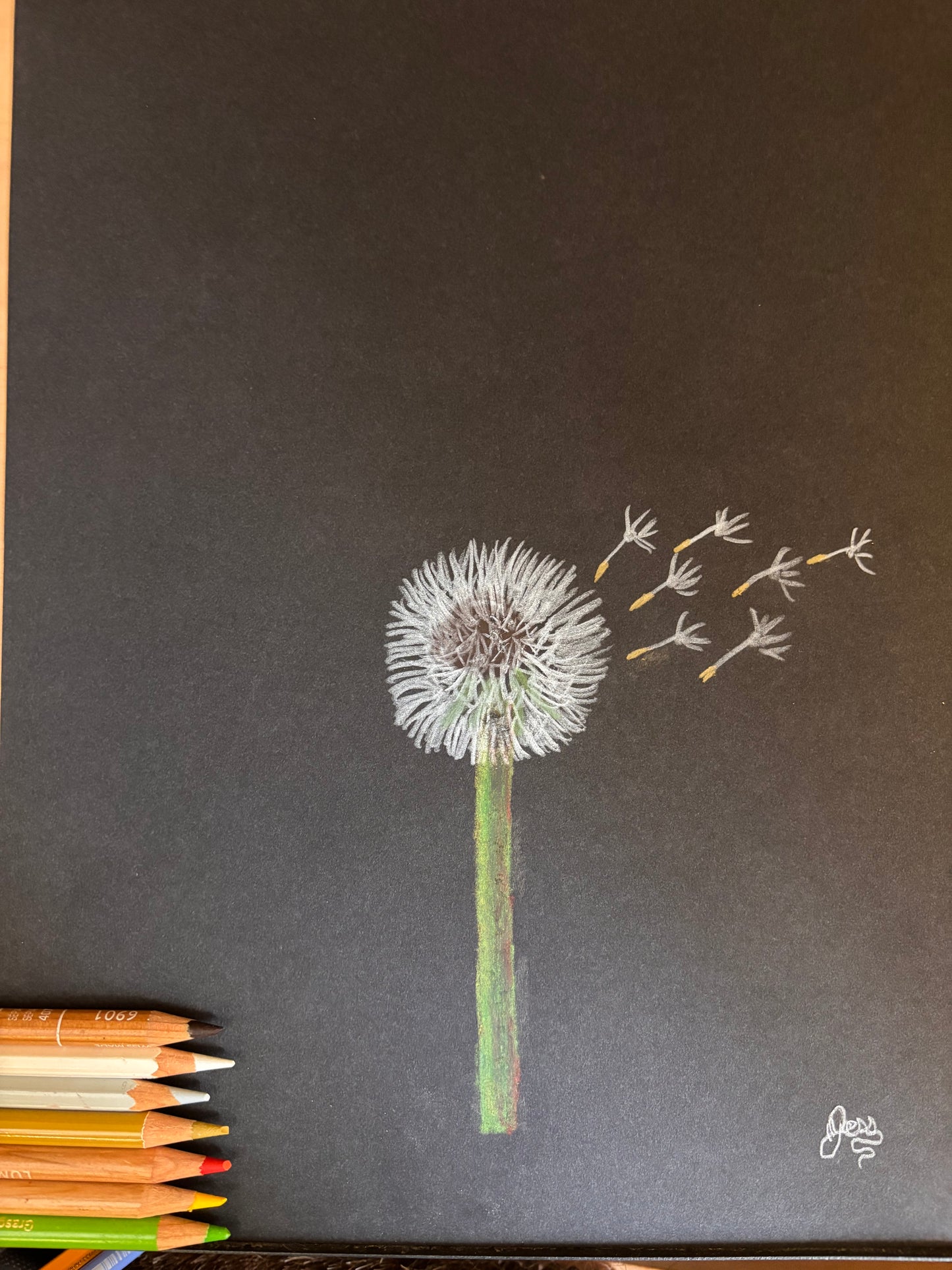 Dandelion | Original Colored Pencil Drawing