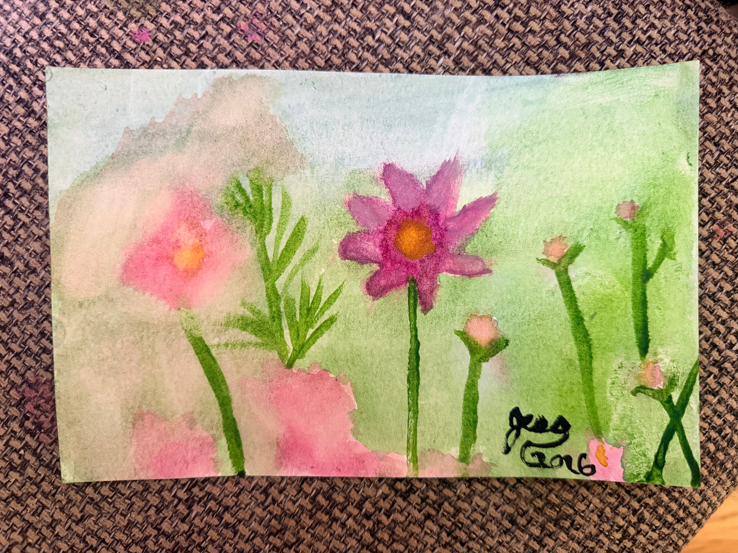 Pink Cosmos | Original Watercolor Painting