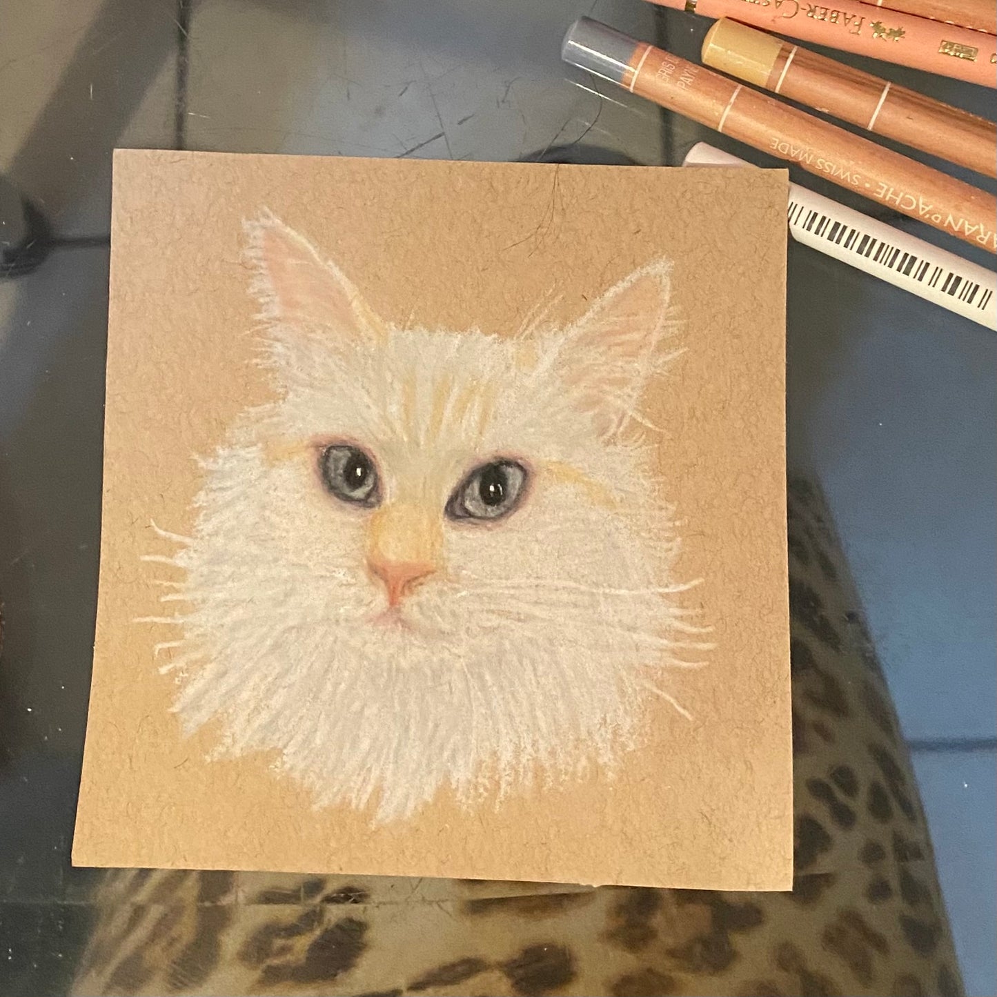 Custom Colored Pencil Drawing