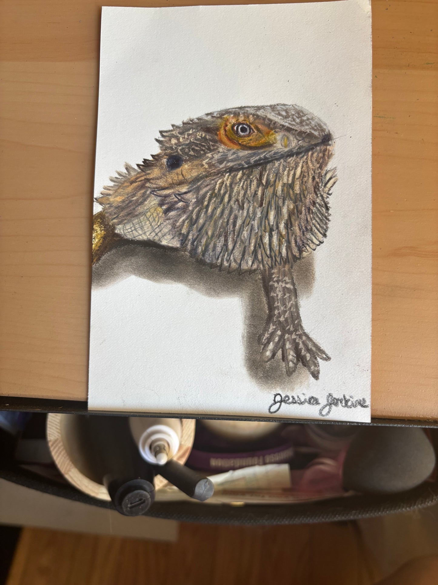 Custom Colored Pencil Drawing
