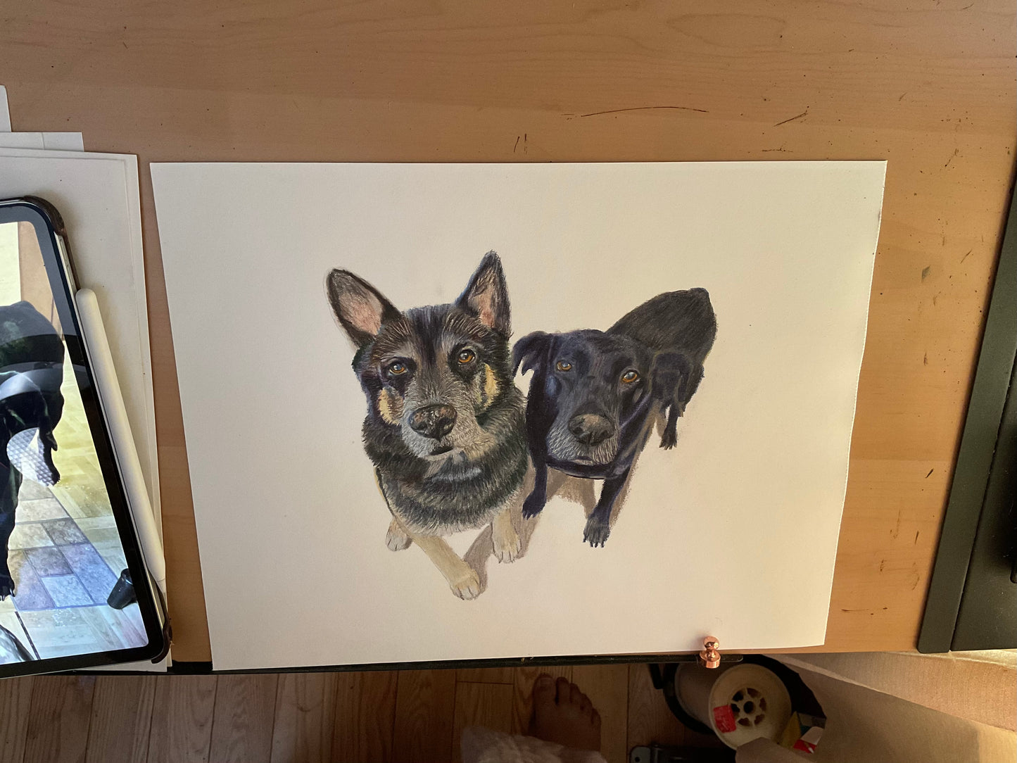 Custom Colored Pencil Drawing
