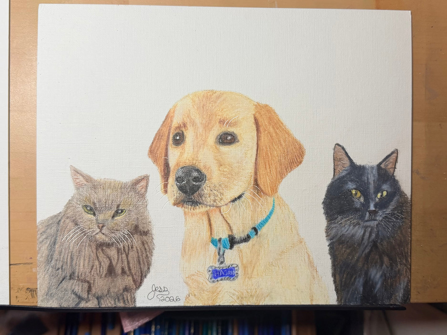 Custom Colored Pencil Drawing