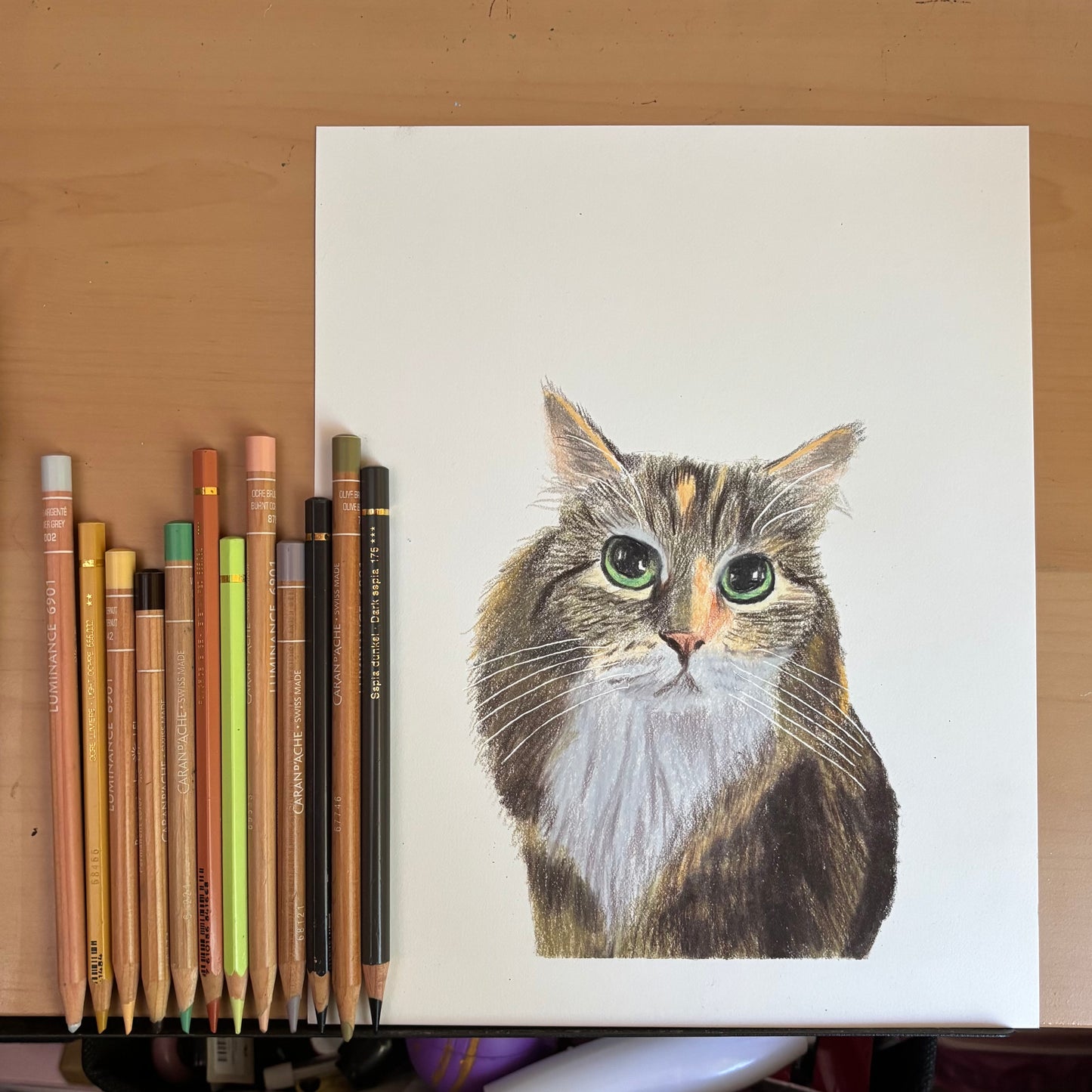 Custom Colored Pencil Drawing