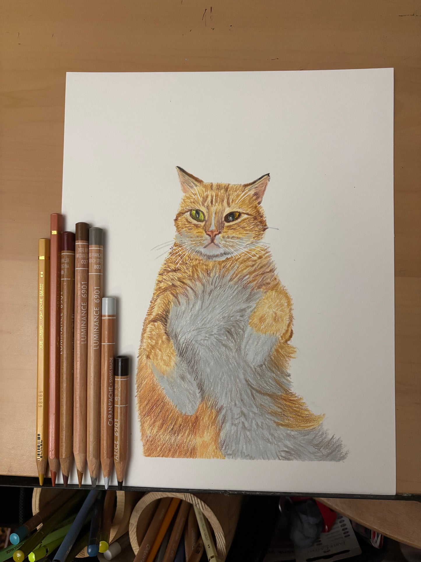 Custom Colored Pencil Drawing