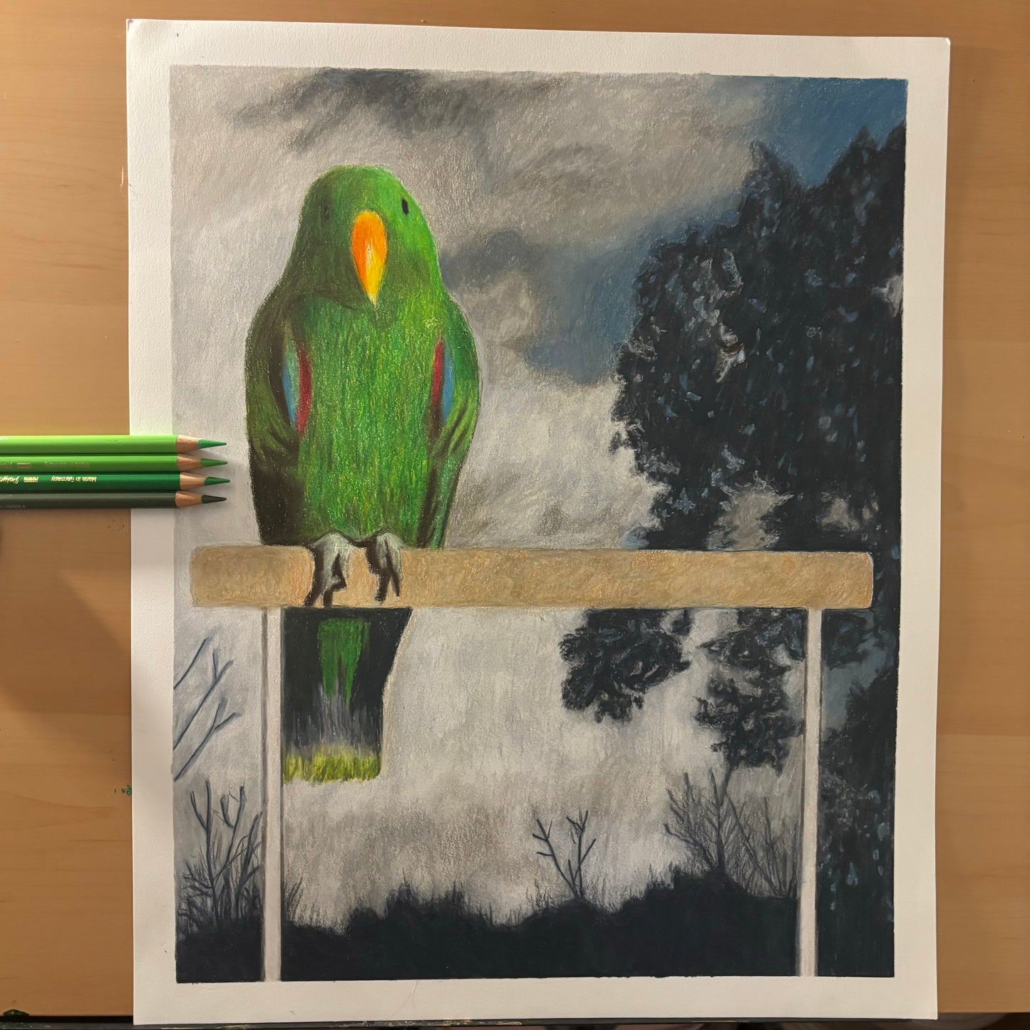 Custom Colored Pencil Drawing