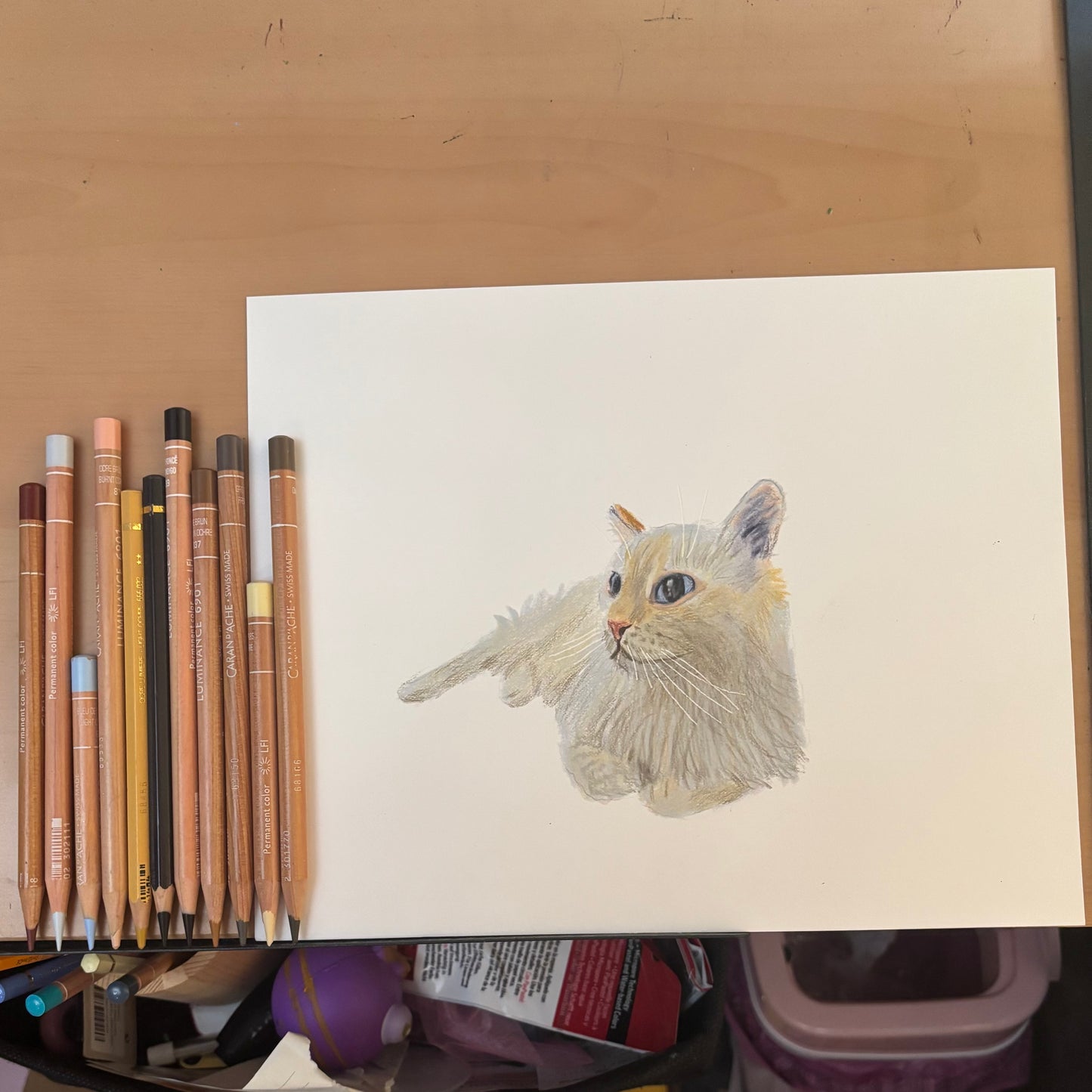 Custom Colored Pencil Drawing