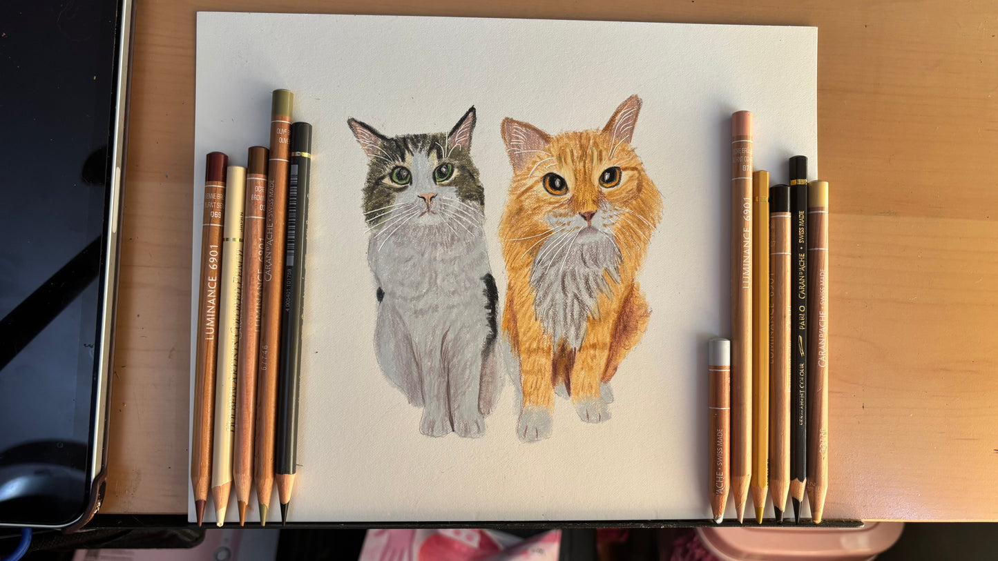 Custom Colored Pencil Drawing
