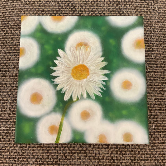 Field of Daisies | Original Acrylic Painting