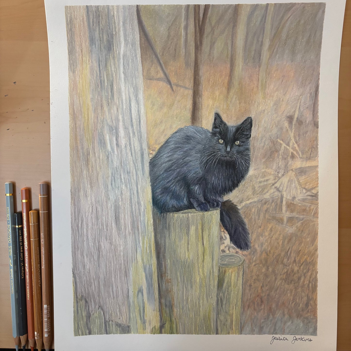 Custom Colored Pencil Drawing