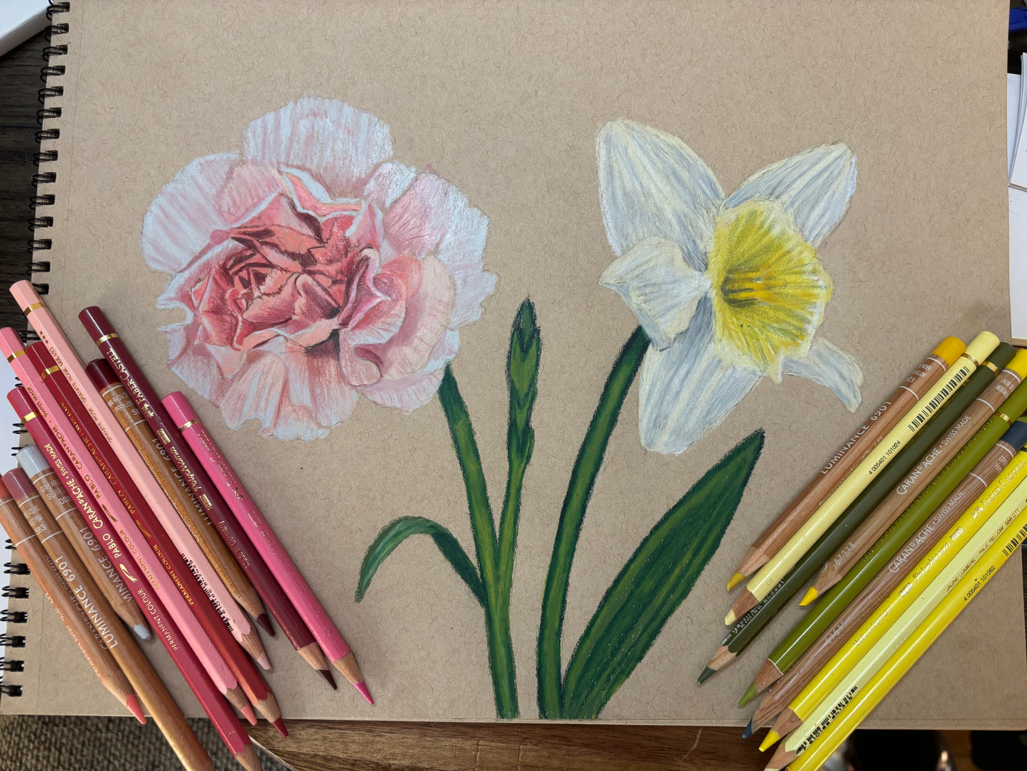 Custom Colored Pencil Drawing