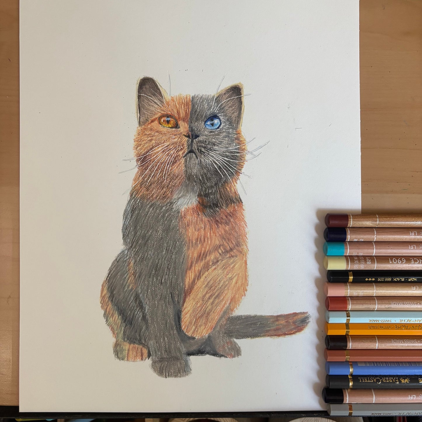 Custom Colored Pencil Drawing