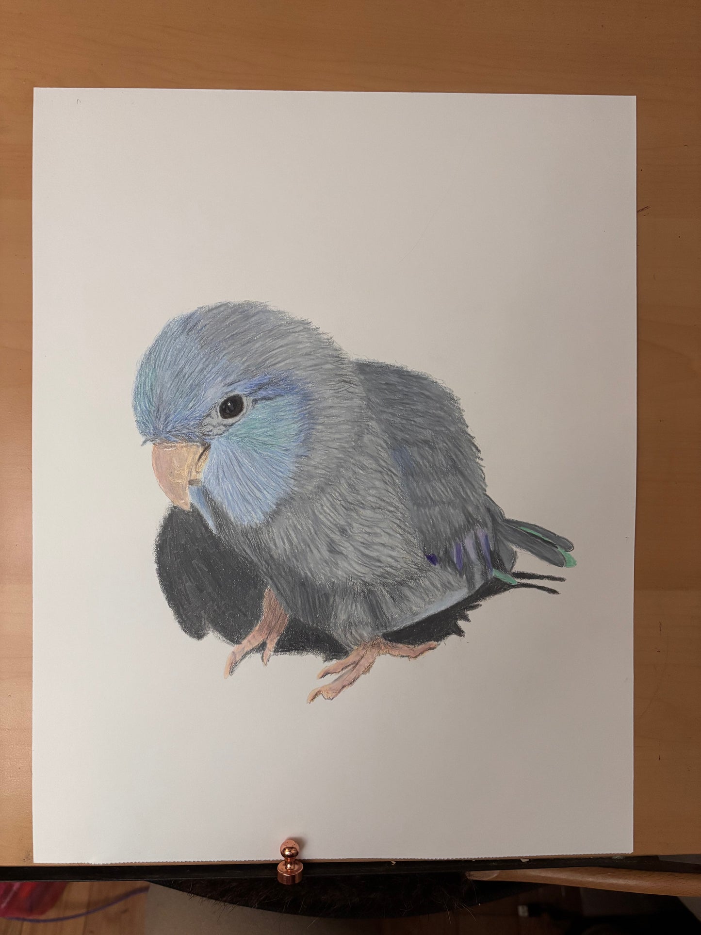 Custom Colored Pencil Drawing