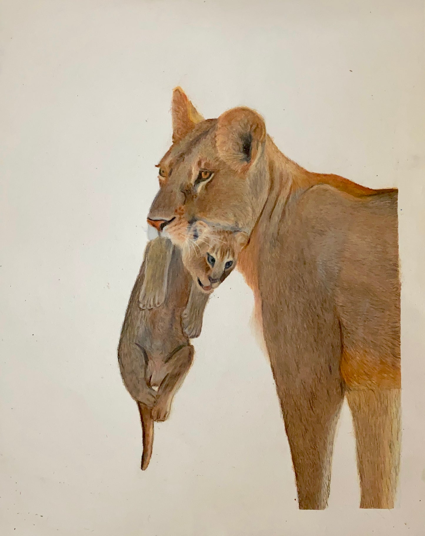 Custom Colored Pencil Drawing