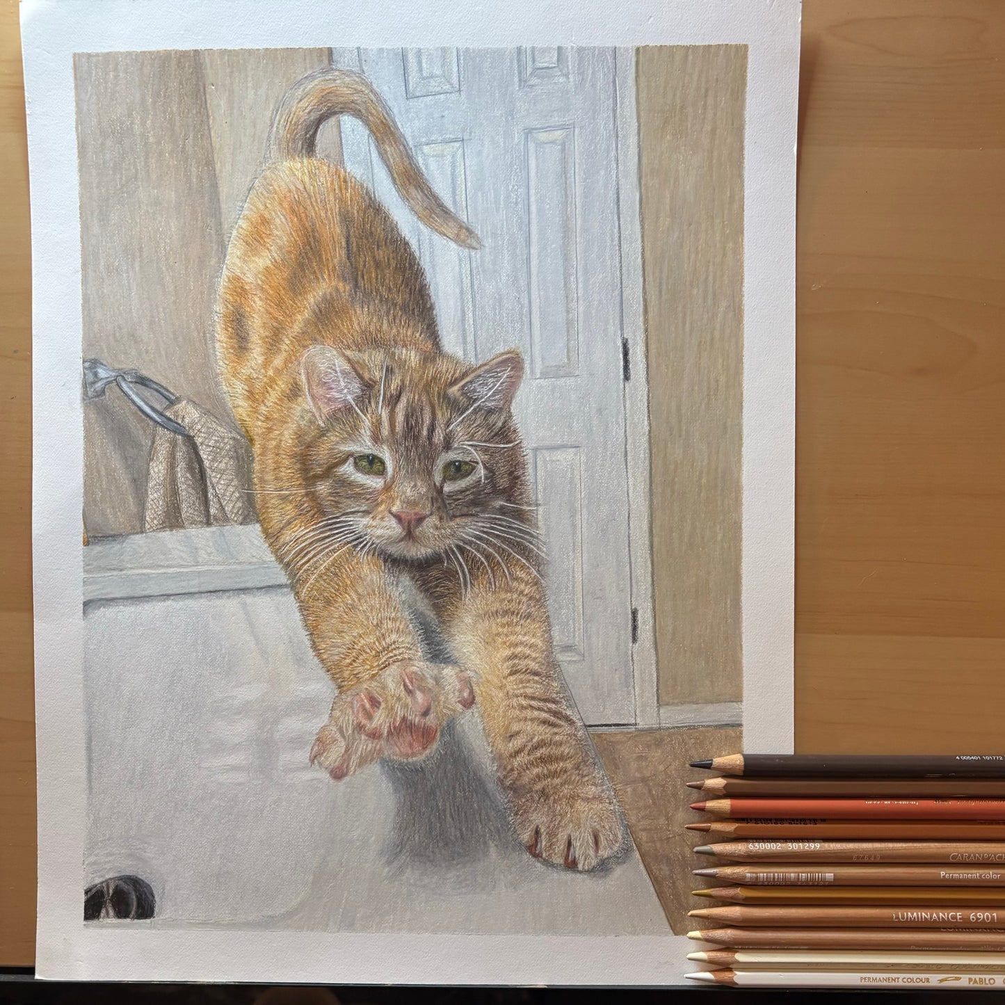 Custom Colored Pencil Drawing