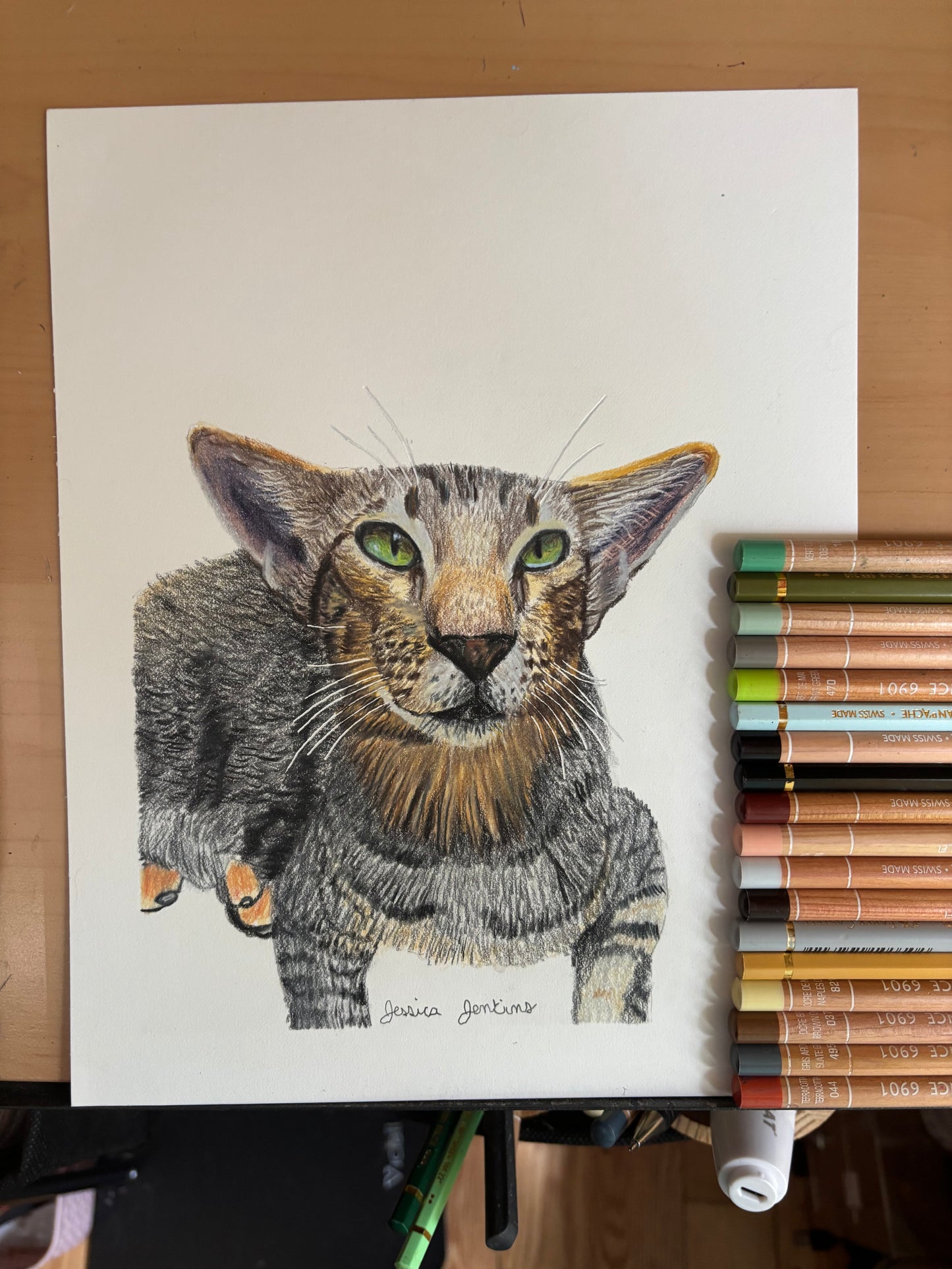Custom Colored Pencil Drawing