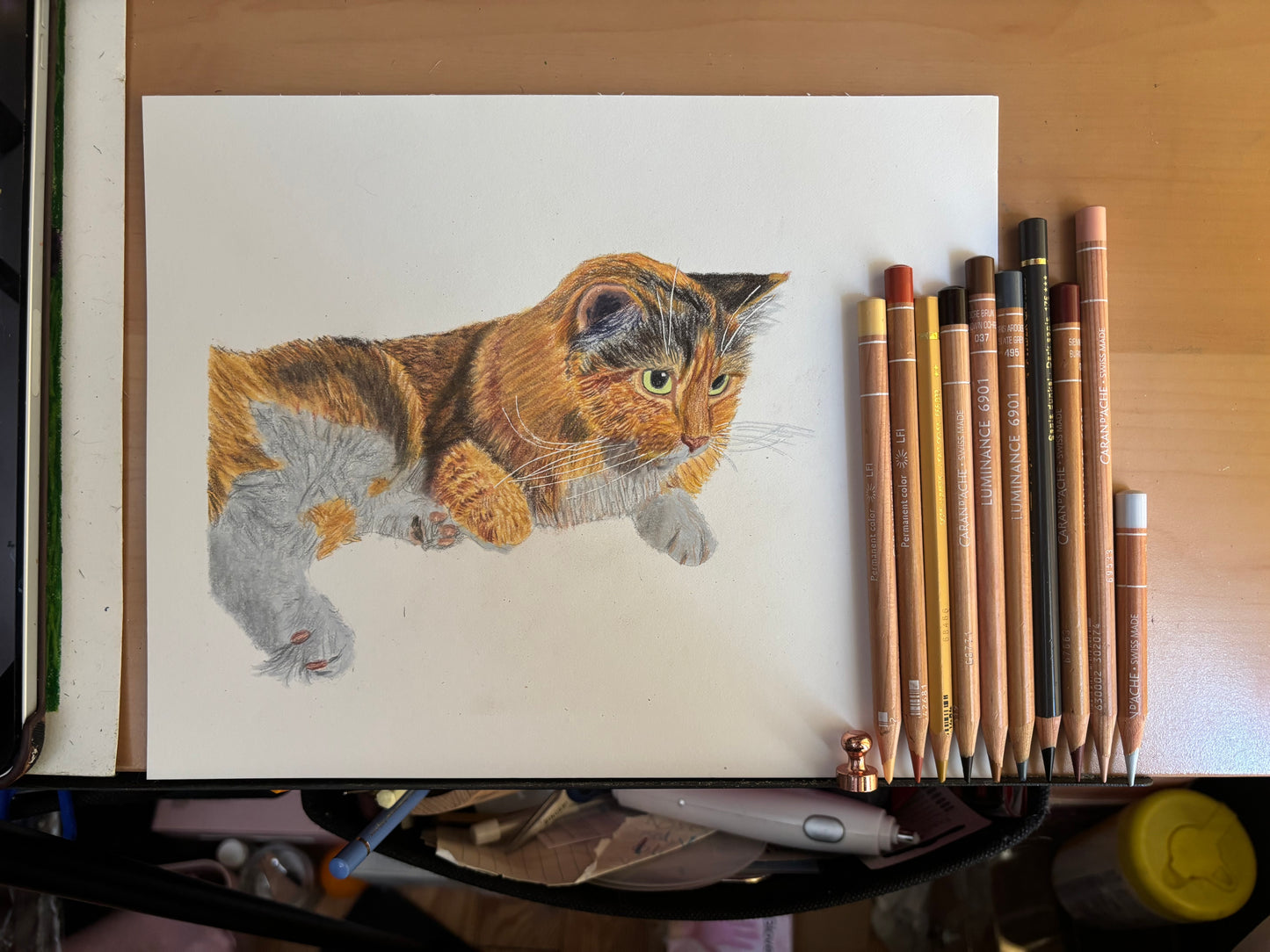 Custom Colored Pencil Drawing