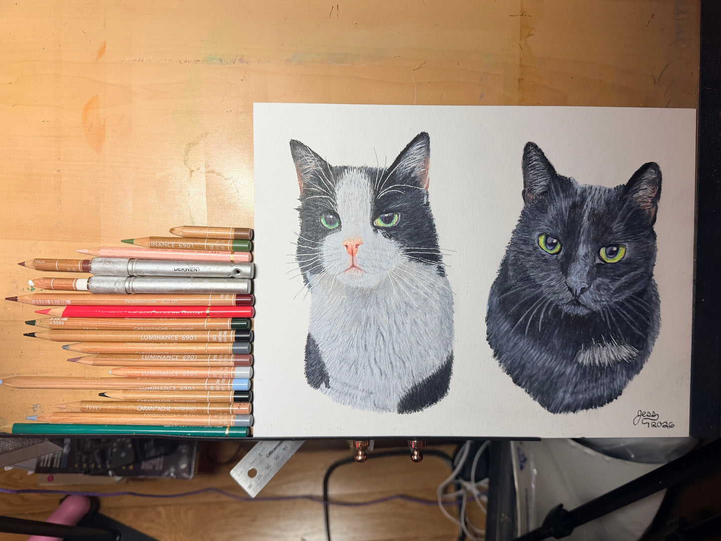 Custom Colored Pencil Drawing