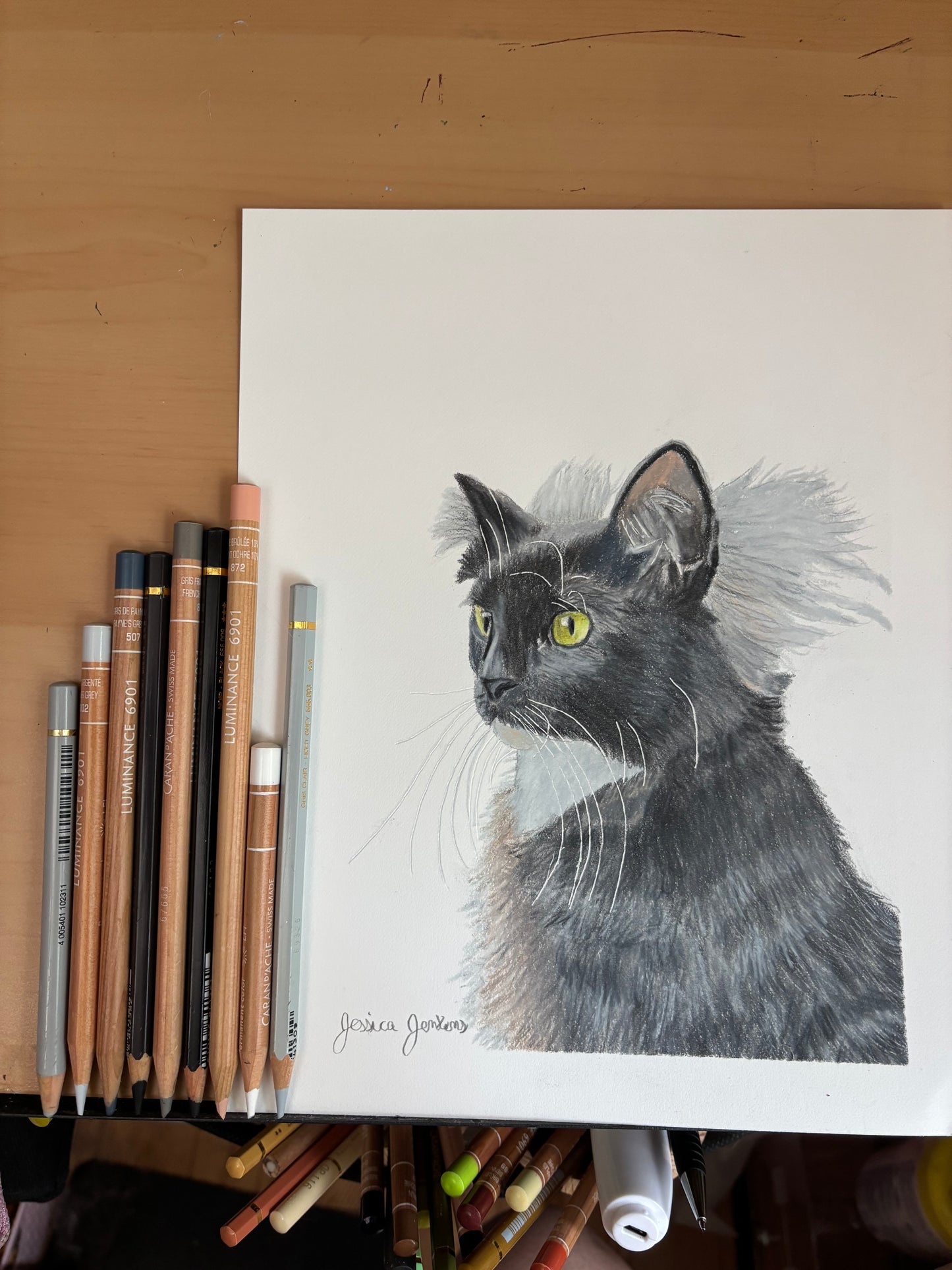 Custom Colored Pencil Drawing