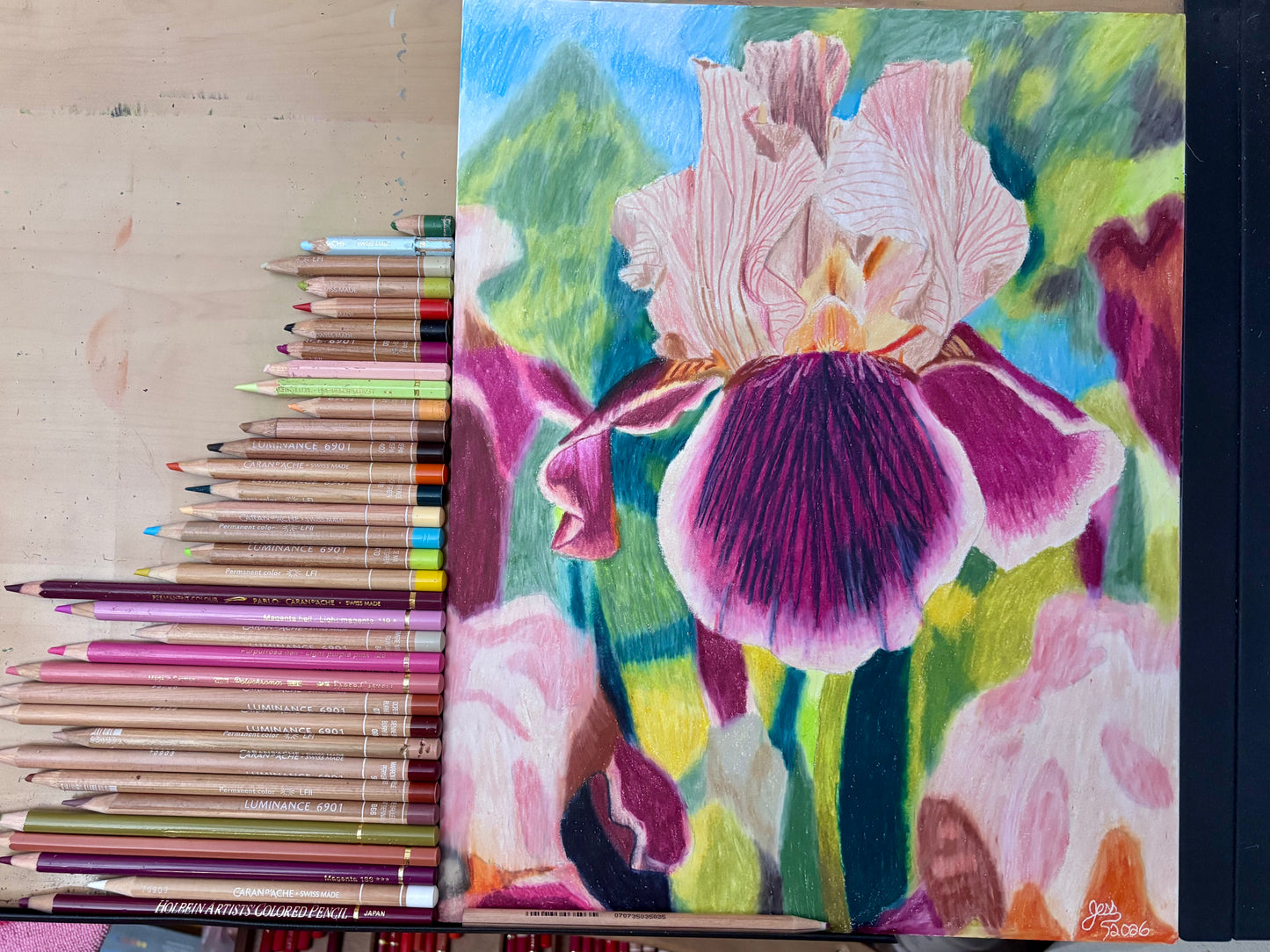 Iris | Original Colored Pencil Drawing