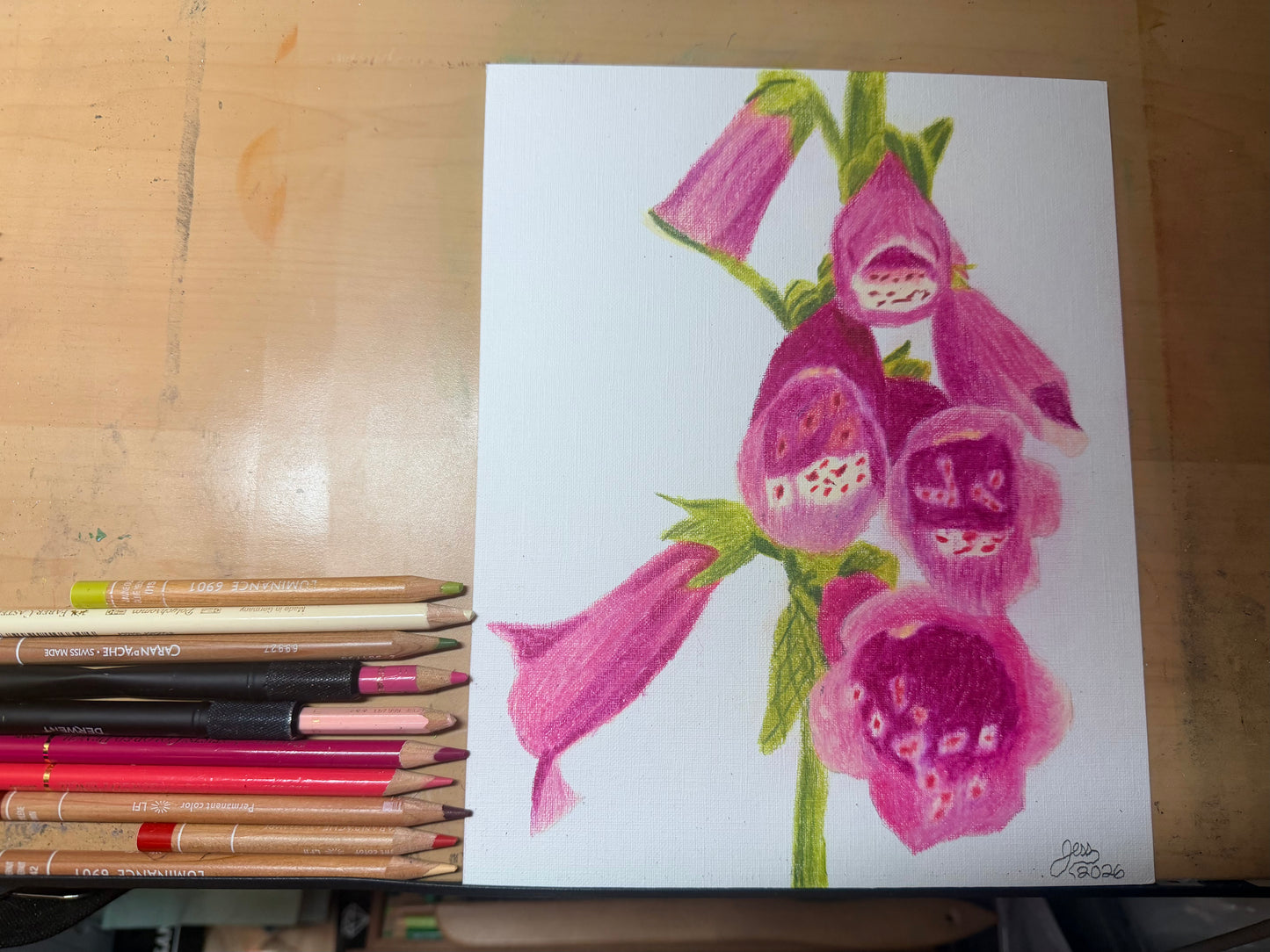 Fox Gloves | Original Colored Pencil Drawing