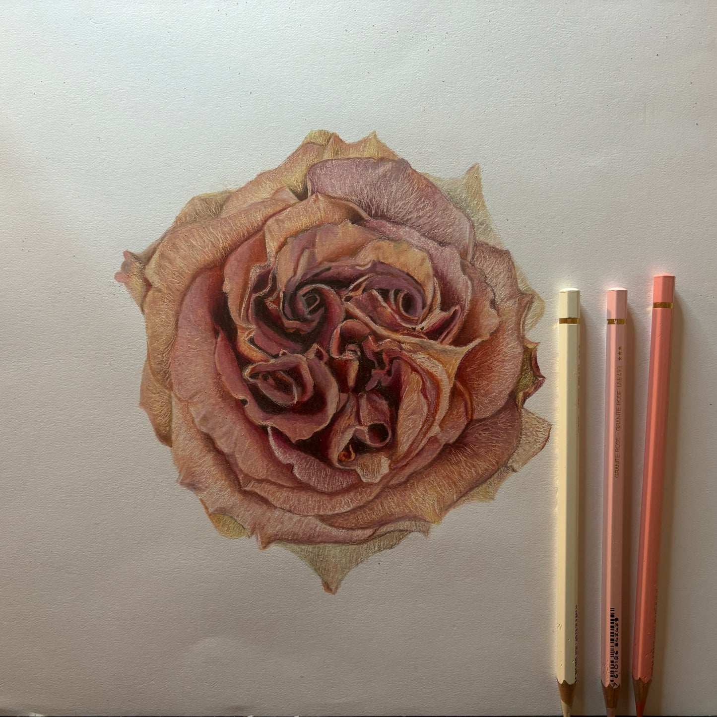 Rose Prints | Limited Edition