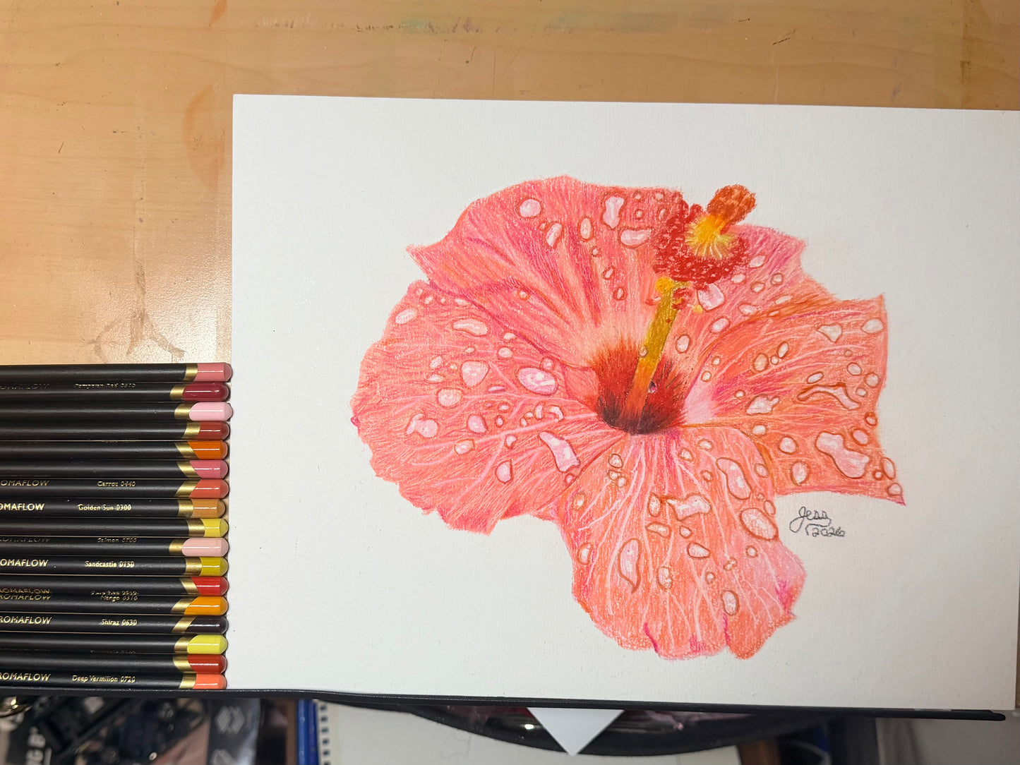 Pink Hibiscus | Limited Edition Prints