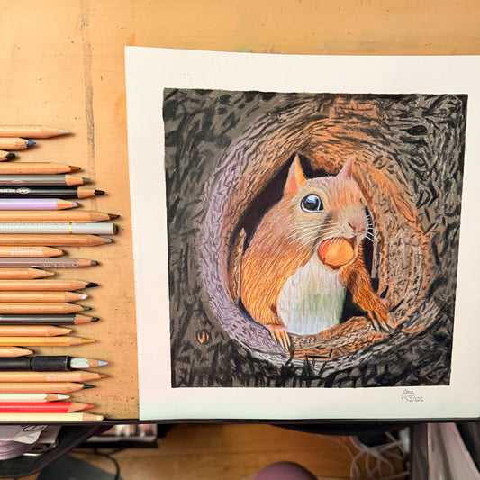 Squirrel | Original Colored Pencil Drawing