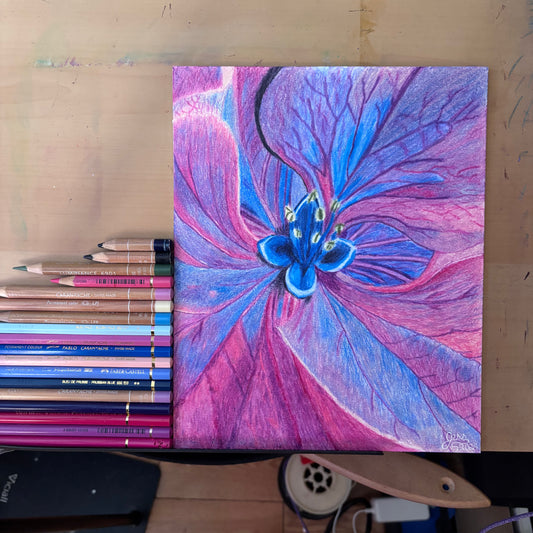 Petal Pulse | Original Colored Pencil Drawing