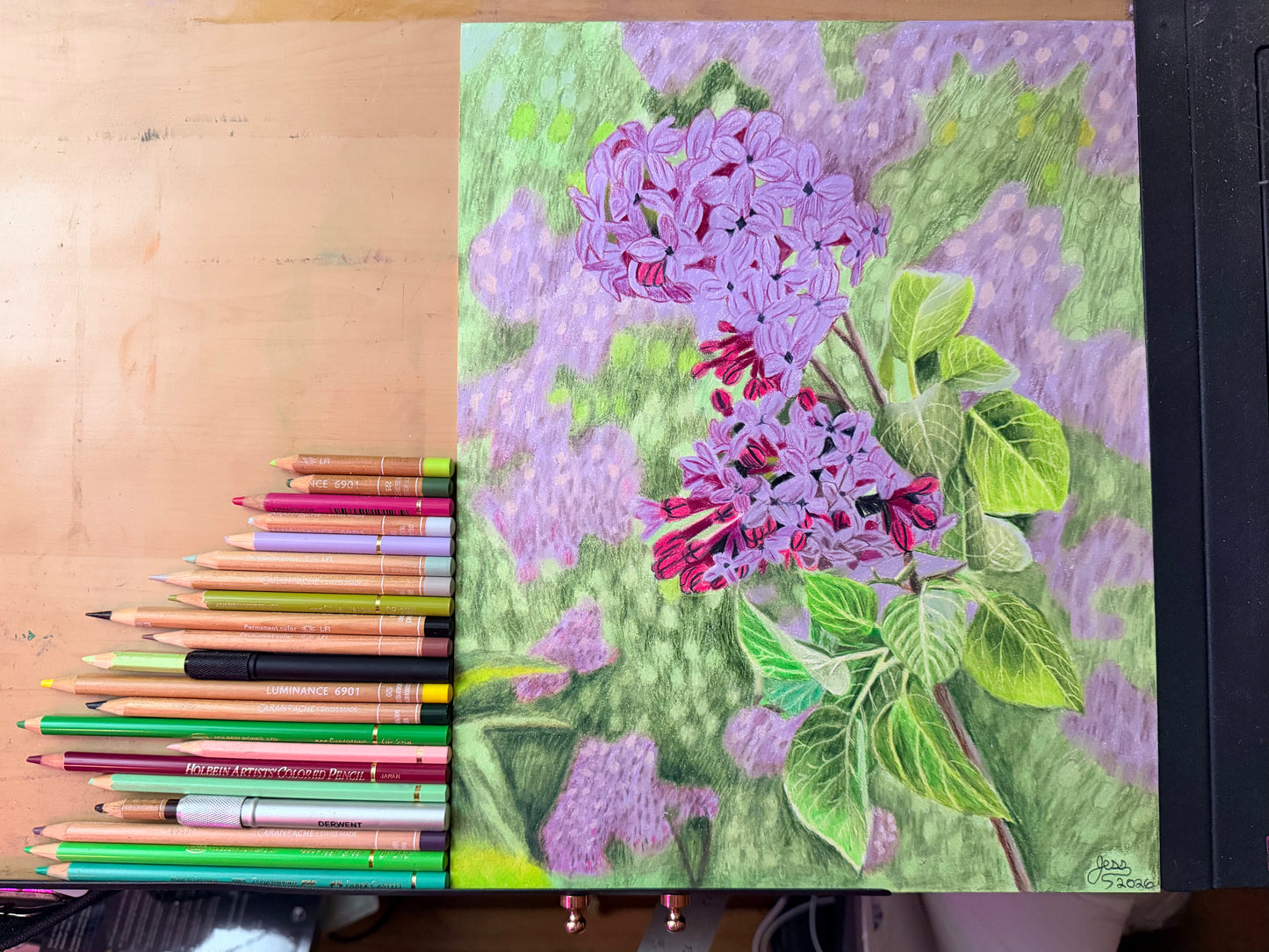 Lilacs | Original Colored Pencil Drawing