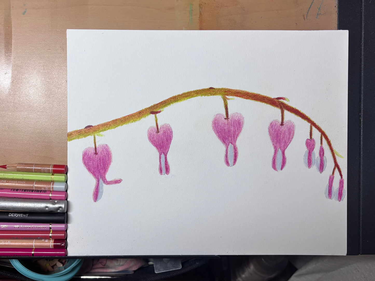 Bleeding Hearts | Original Colored Pencil Drawing