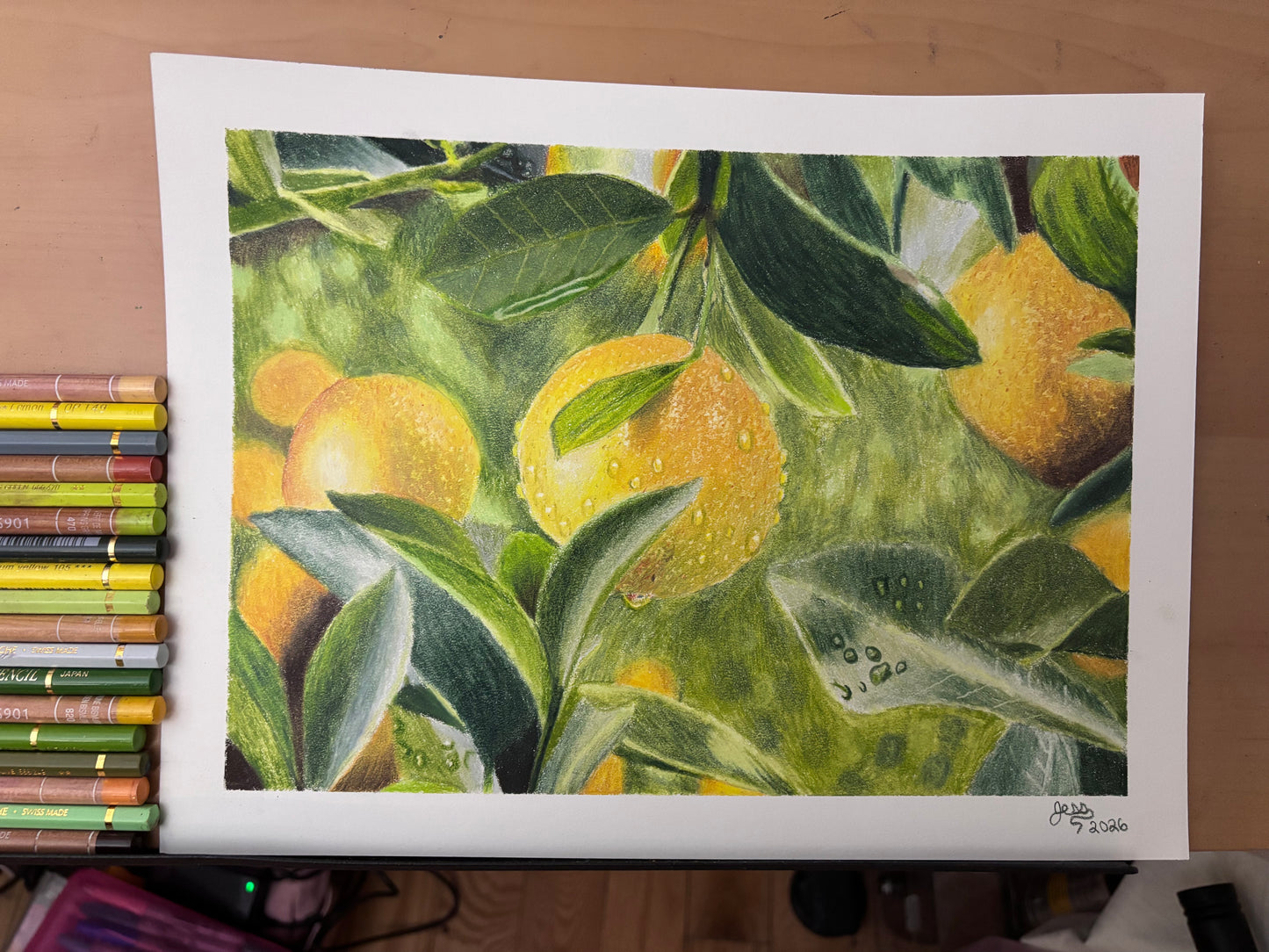 Lemons | Original Colored Pencil Drawing
