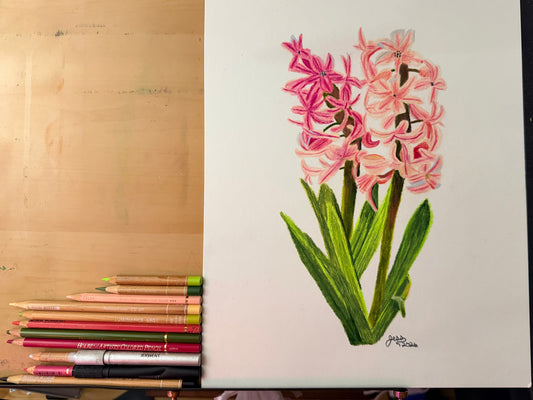 Hyacinth | Original Colored Pencil Drawing