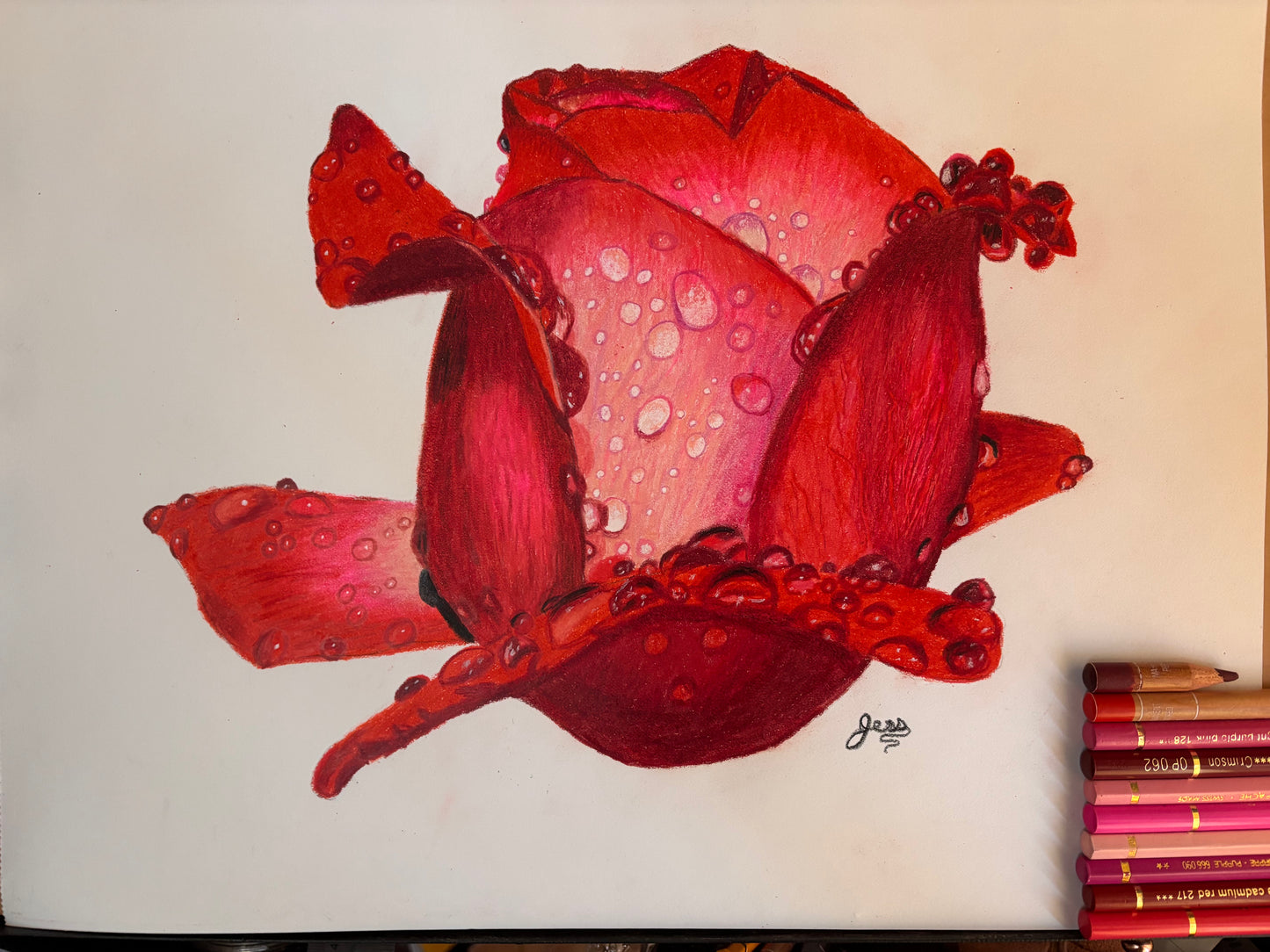 Rainy Rose | Original Colored Pencil Drawing