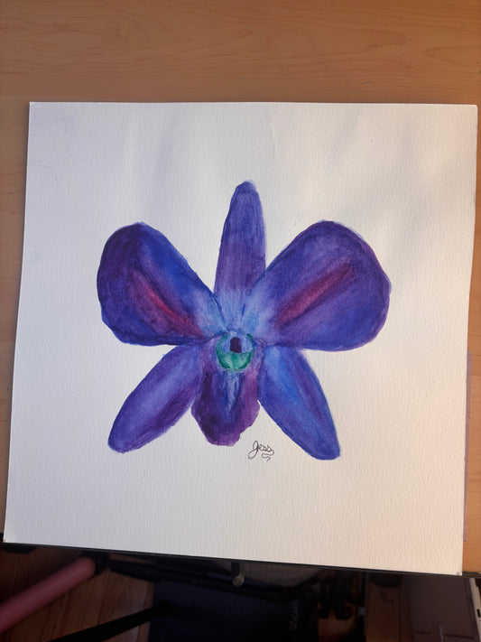 Dendrobium Orchid | Original Watercolor Painting
