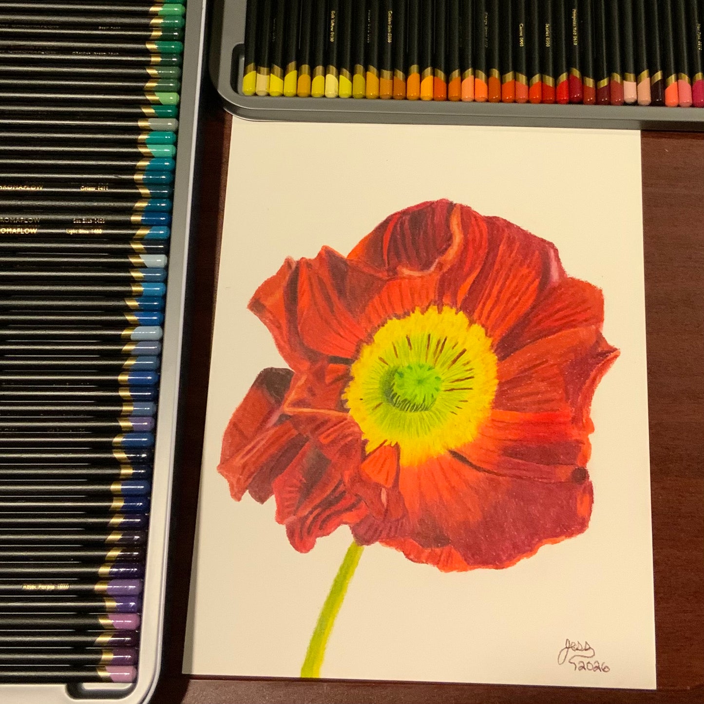 Red Poppy | Original Colored Pencil Drawing