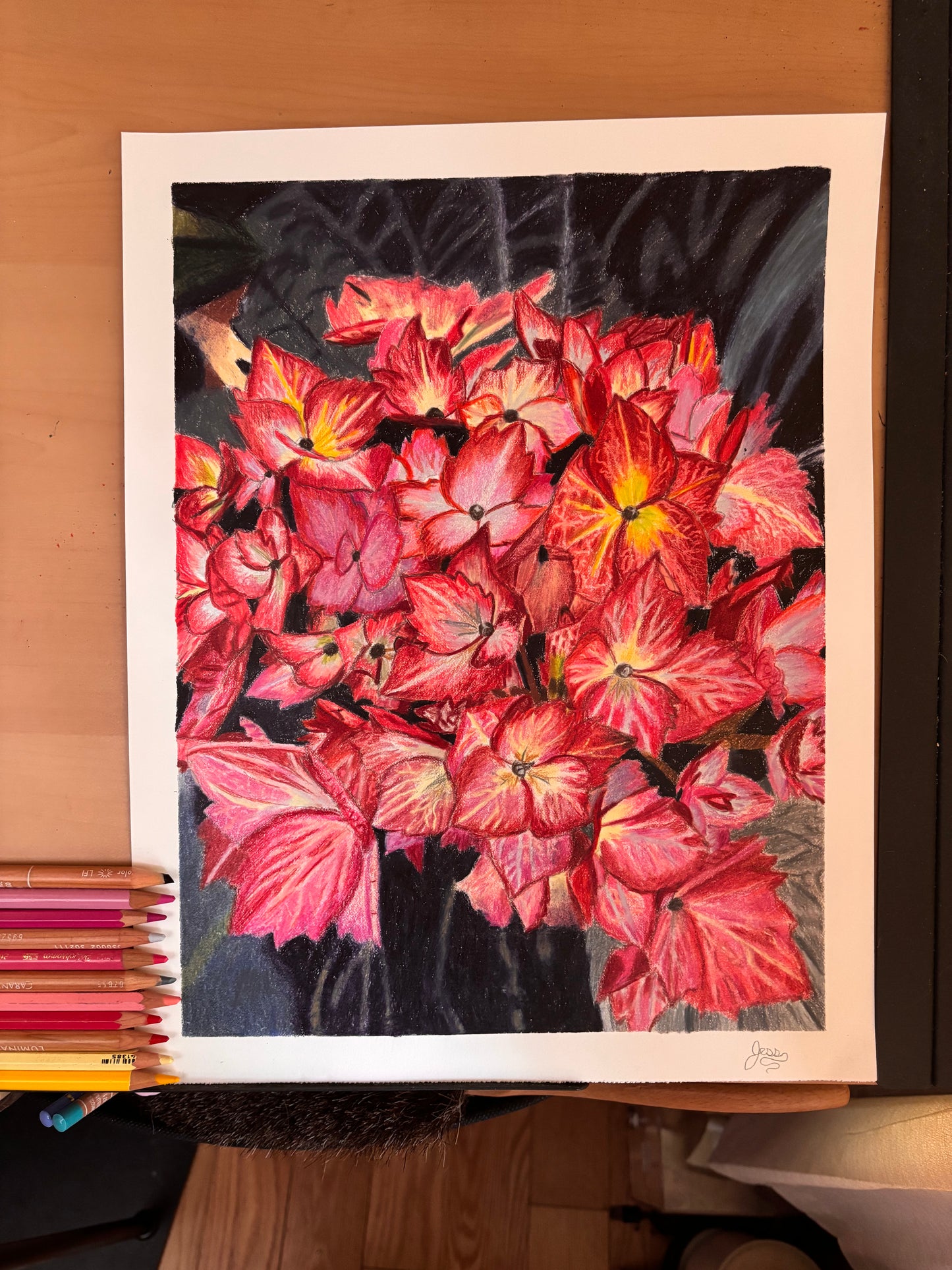 Red Hydrangeas | Limited Edition Prints