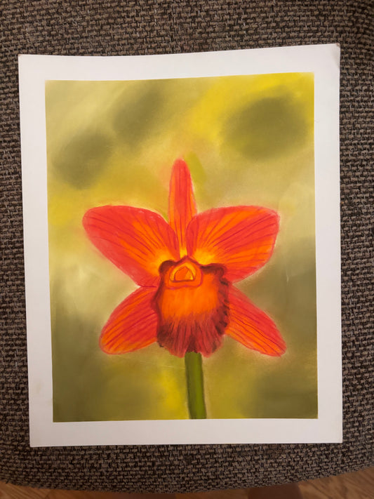 Orchid | Original Pastel Pencil Drawing