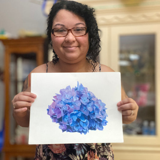 Hydrangeas | Original Colored Pencil Drawing